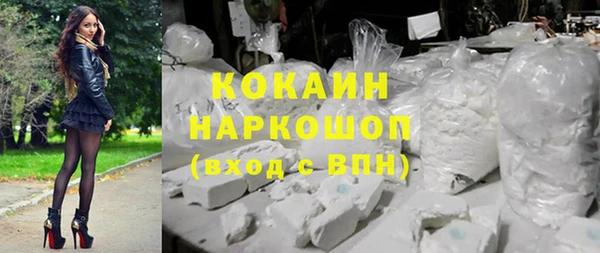мдпв Михайловск