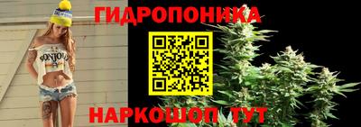 Альфа ПВП Гусев