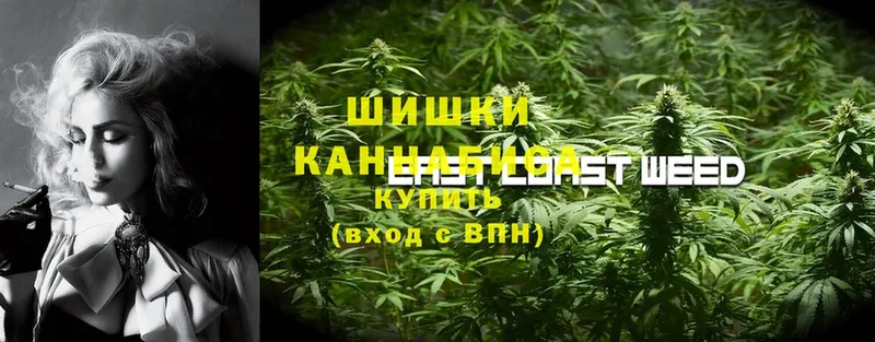 Шишки марихуана THC 21%  Ялта 